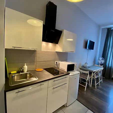 Ametyst Apartment *